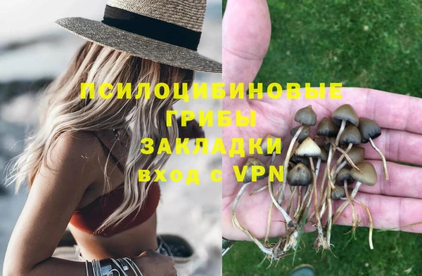 индика Приозерск