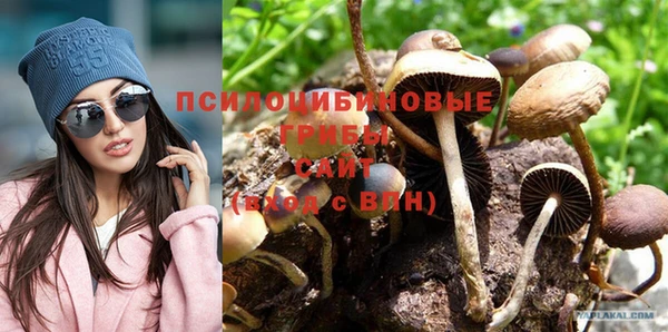 2c-b Протвино