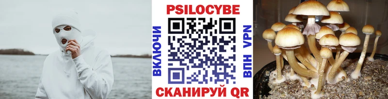 Псилоцибиновые грибы прущие грибы  сколько стоит  Каменногорск 