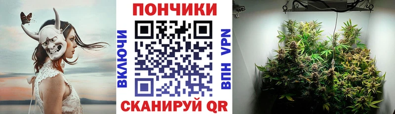 Шишки марихуана Amnesia  где продают наркотики  Каменногорск 